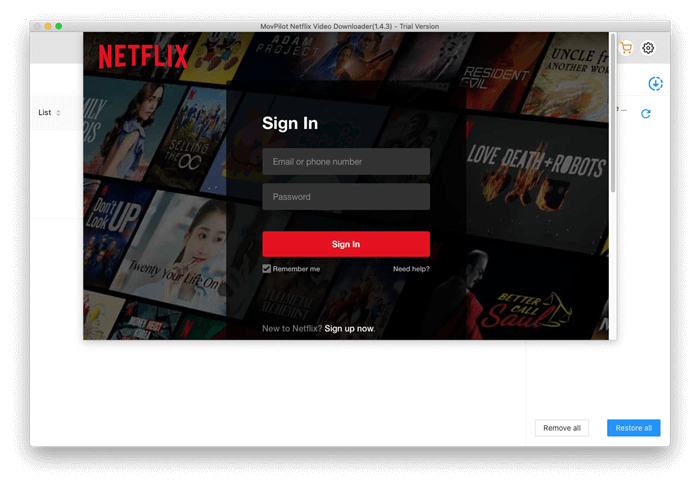 Log in Netflix Account